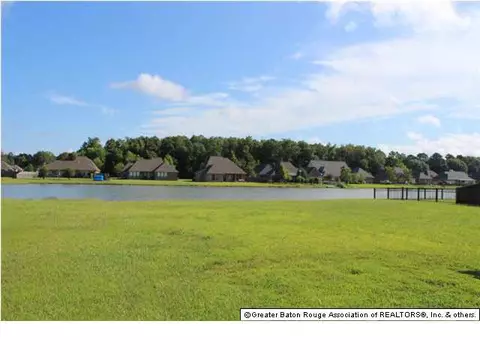 12429 Timberwood Dr, Walker, LA 70785 photo 15