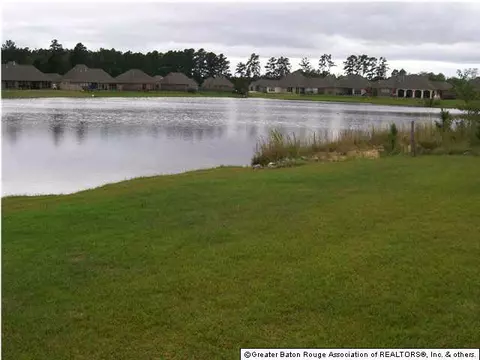 13230 Brookcrest Dr, Walker, LA 70785 photo 18