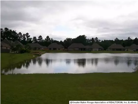 13230 Brookcrest Dr, Walker, LA 70785 photo 17