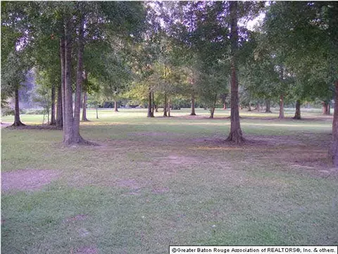 15317 E Ridge Dr, Walker, LA 70785 photo 3