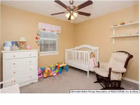 13623 Prairie Ln, Walker, LA 70785 photo 9