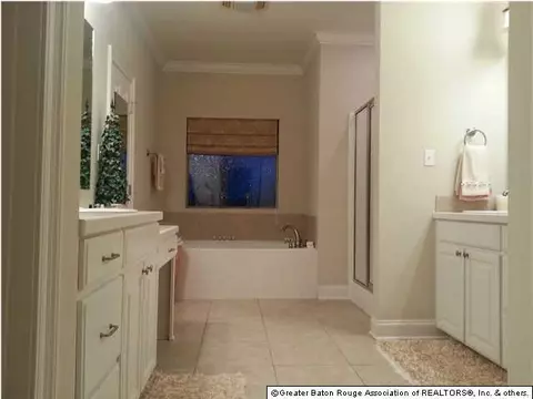 28018 Great Eagle Ave, Walker, LA 70785 photo 6