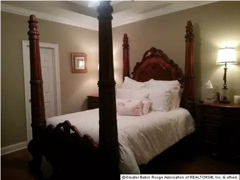 28018 Great Eagle Ave, Walker, LA 70785 photo 7