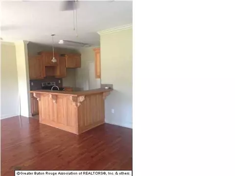 20212 De Chene Dr, Walker, LA 70785 photo 3