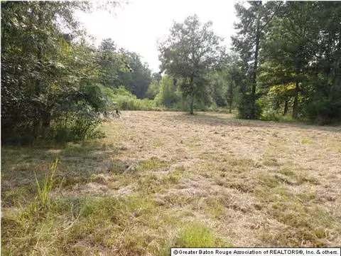 32229 Weiss Rd, Walker, LA 70785 photo 1