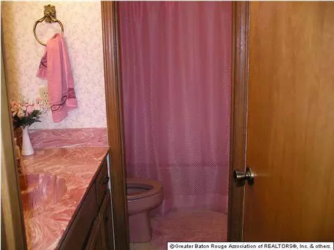 12790 Pleasant Rdg, Walker, LA 70785 photo 14