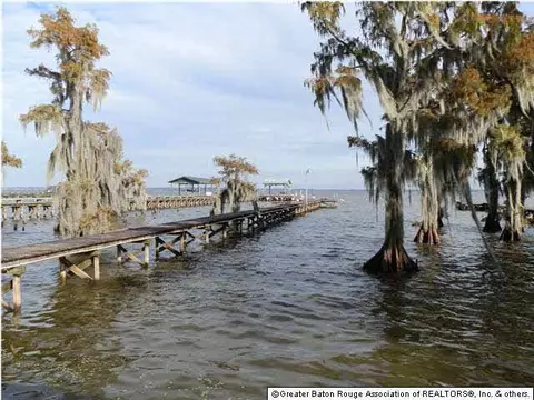 929 Shell Beach Rd, Pierre Part, LA 70339 photo 2