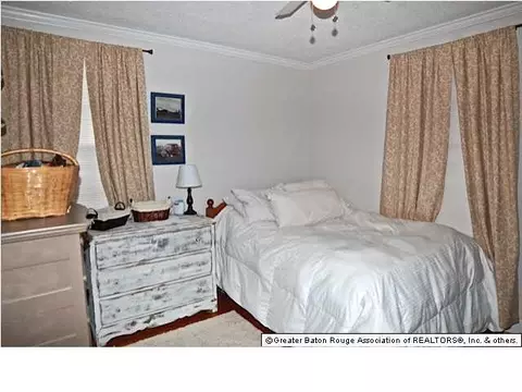 29791 Aime St, Walker, LA 70785 photo 9