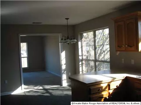 30477 Michelle Dr, Walker, LA 70785 photo 15