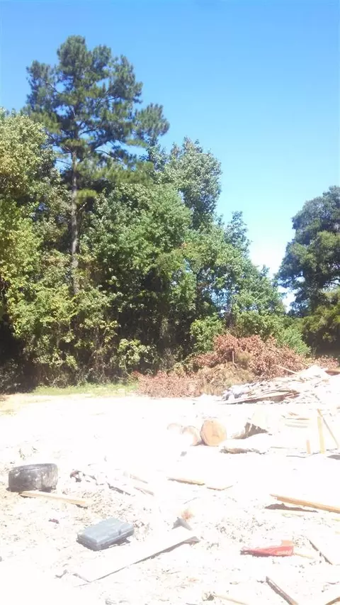 11999 Pendarvis Ln, Walker, LA 70785 photo 8