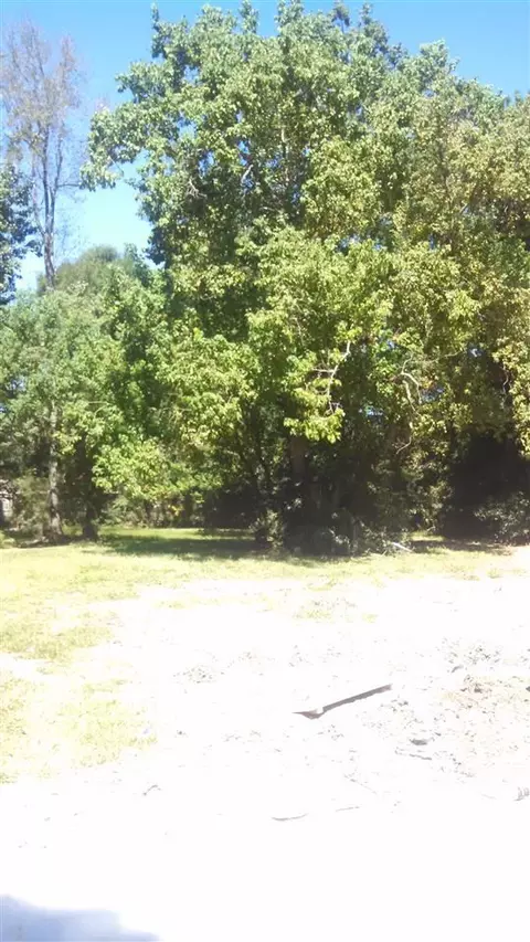 11999 Pendarvis Ln, Walker, LA 70785 photo 9
