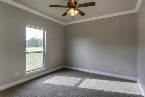 14433 Hubbs Rd, Central, LA 70770 photo 28