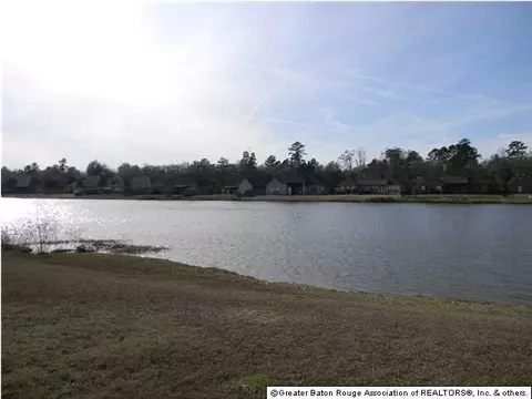 34237 Spring Lake Dr, Walker, LA 70785 photo 17