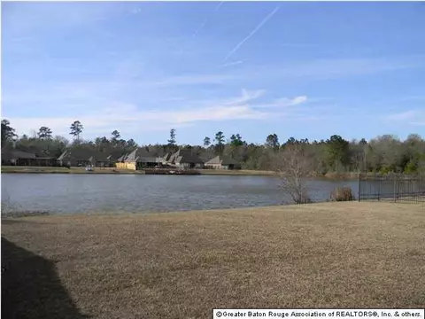34237 Spring Lake Dr, Walker, LA 70785 photo 16