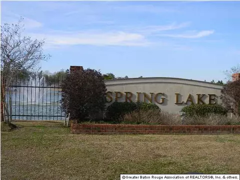 34237 Spring Lake Dr, Walker, LA 70785 photo 22