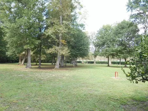 9249 S Hodgeson Rd, Gonzales, LA 70737 photo 27
