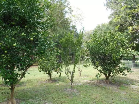 9249 S Hodgeson Rd, Gonzales, LA 70737 photo 22