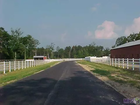 12752 Thoroughbred Ln, Walker, LA 70785 photo 4