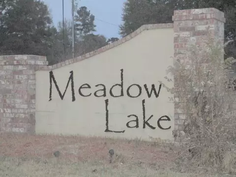 30246 Daffodil Dr, Walker, LA 70785 photo 37