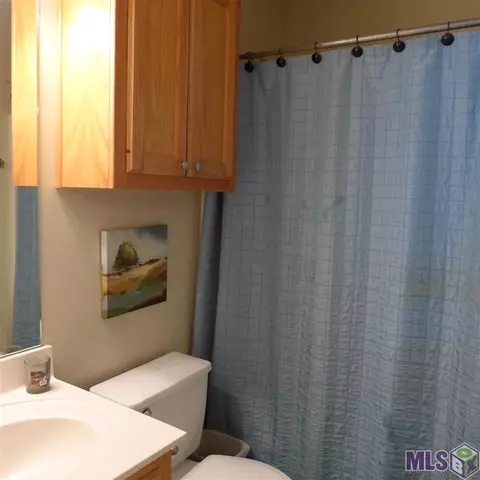 13472 Meadow Xing, Walker, LA 70785 photo 10