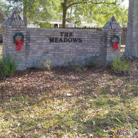 13472 Meadow Xing, Walker, LA 70785 photo 17