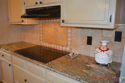13185 Joycelyn, Walker, LA 70785 photo 12