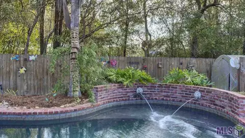 30090 Oak Shadow Dr, Walker, LA 70785 photo 28