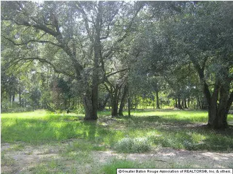 30395 George White Rd, Holden, LA 70744 photo 17