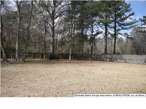 29045 Highland St, Walker, LA 70785 photo 2