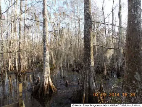 193 Eagle Pt, Pierre Part, LA 70339 photo 28