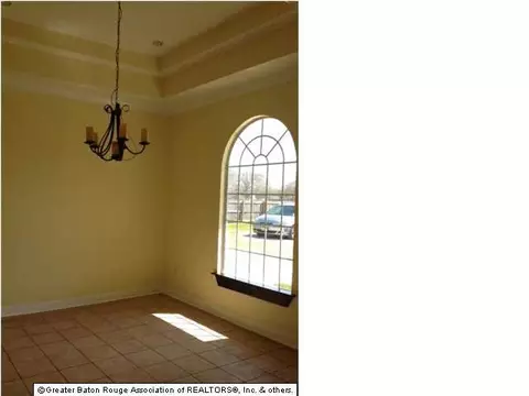 40456 Causey Rd, Prairieville, LA 70769 photo 5