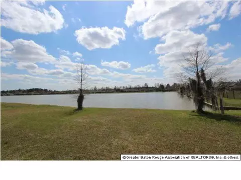12418 Deerfield Dr, Walker, LA 70785 photo 21
