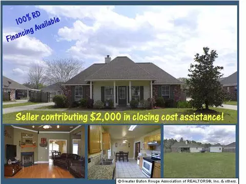 13496 Meadow Xing, Walker, LA 70785 photo 1