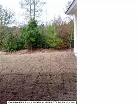 30971 Ridgeway, Walker, LA 70785 photo 20