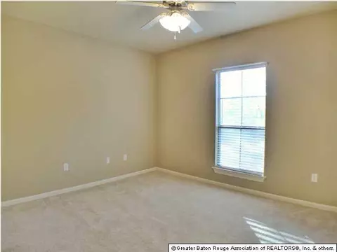 11185 Peaks Ave, Walker, LA 70785 photo 13