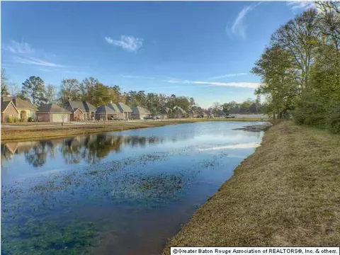 11185 Peaks Ave, Walker, LA 70785 photo 17