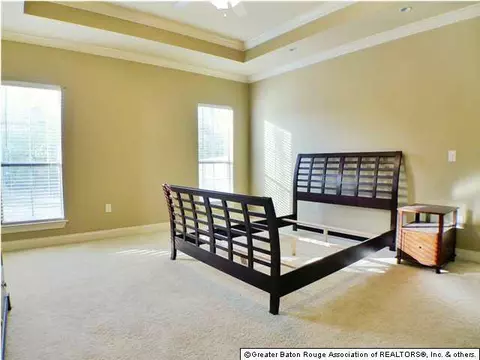 11185 Peaks Ave, Walker, LA 70785 photo 8