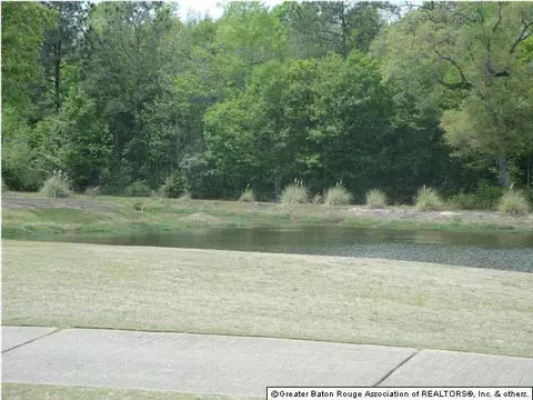 30748 Bluewing Cres, Springfield, LA 70462 photo 14
