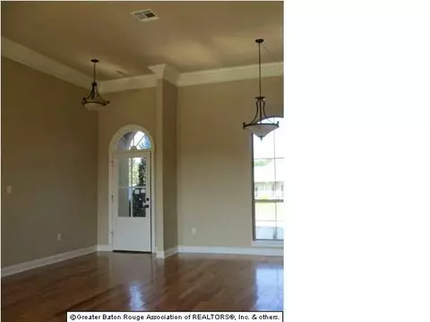 28066 Great Eagle Ave, Walker, LA 70785 photo 11