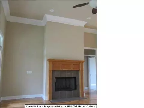 28066 Great Eagle Ave, Walker, LA 70785 photo 4