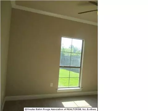 28066 Great Eagle Ave, Walker, LA 70785 photo 2