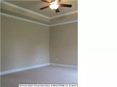 28066 Great Eagle Ave, Walker, LA 70785 photo 5