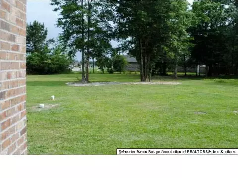 12223 Leblanc Ln, Walker, LA 70785 photo 15