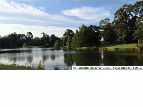 25445 Bickham Rd, Zachary, LA 70791 photo 11