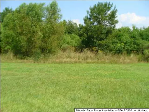34036 Springlake Dr, Walker, LA 70785 photo 10