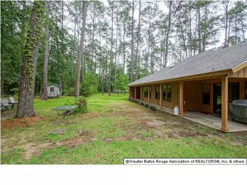 31559 River Pines Dr, Springfield, LA 70462 photo 16