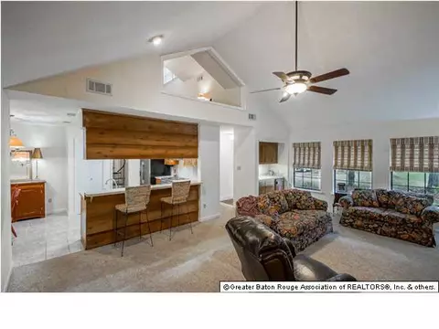 31559 River Pines Dr, Springfield, LA 70462 photo 4