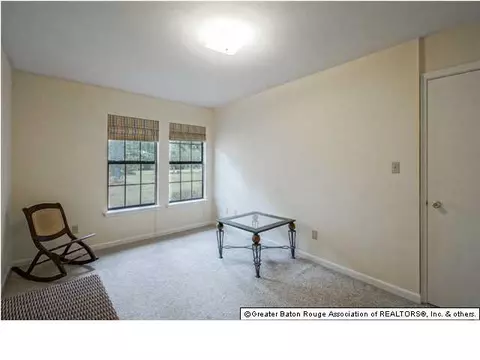 31559 River Pines Dr, Springfield, LA 70462 photo 11