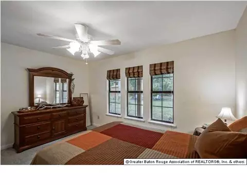 31559 River Pines Dr, Springfield, LA 70462 photo 9