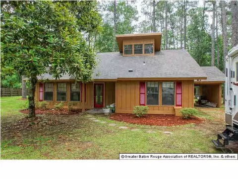 31559 River Pines Dr, Springfield, LA 70462 photo 20